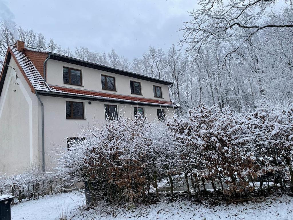 Apartment Am Hochwald Reinhardtsdorf-Schona Exterior photo